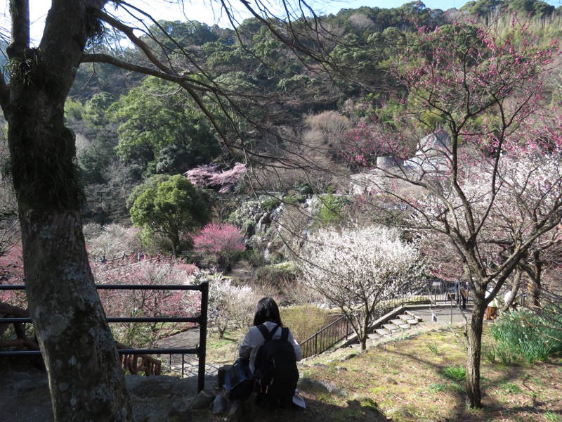 十国峠（日金山）