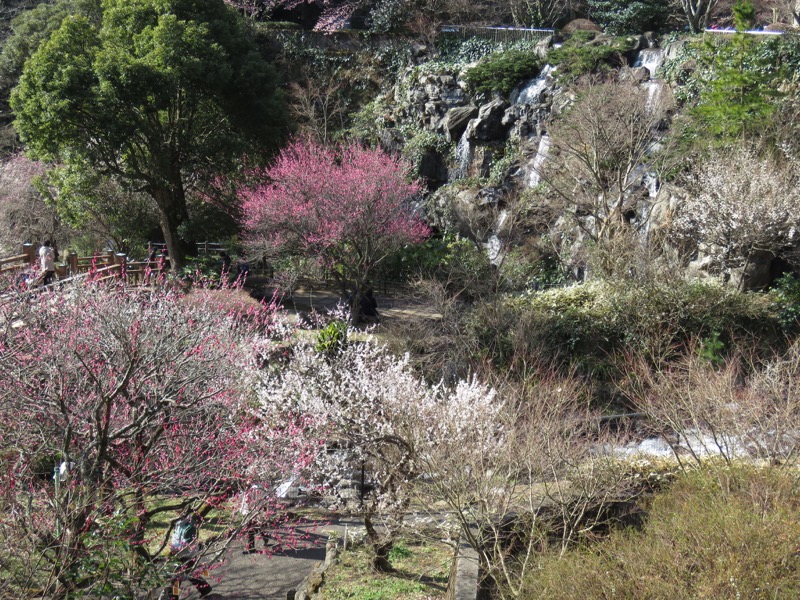 十国峠（日金山）