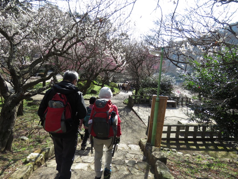 十国峠（日金山）