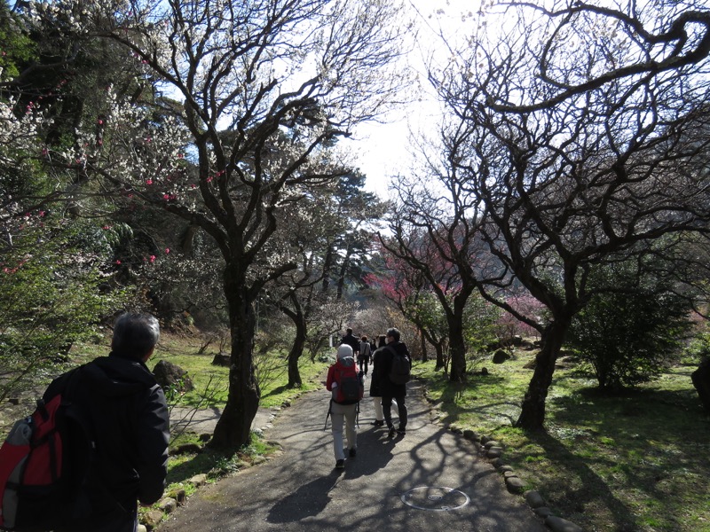 十国峠（日金山）
