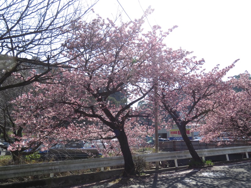 十国峠（日金山）
