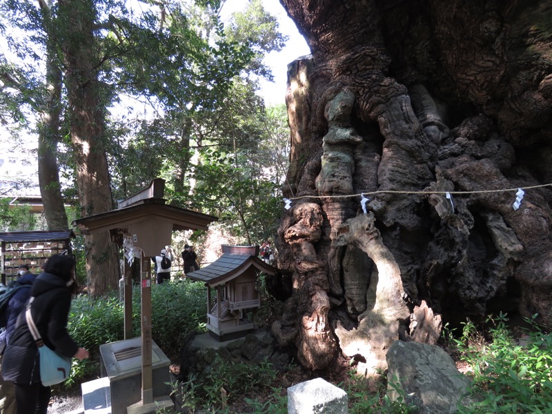 十国峠（日金山）
