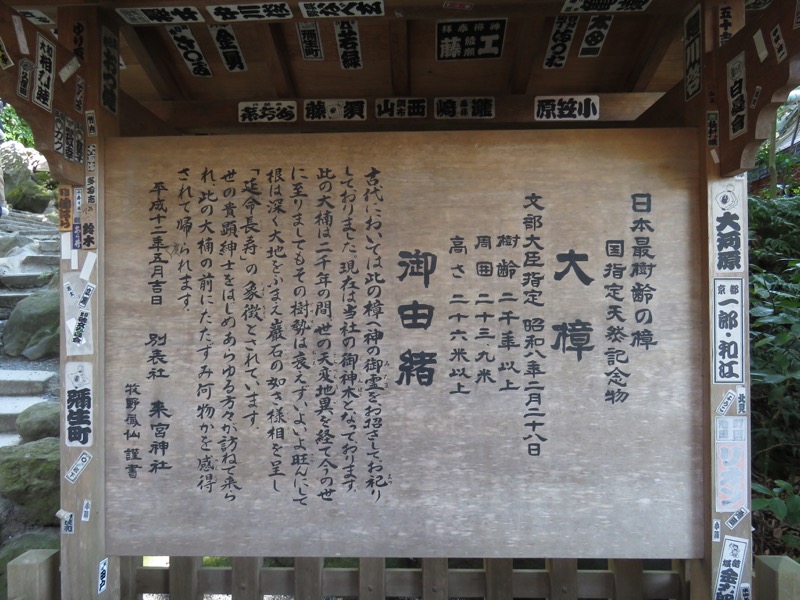 十国峠（日金山）