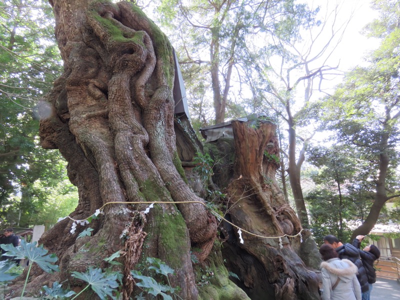 十国峠（日金山）