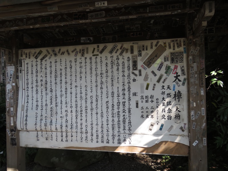 十国峠（日金山）