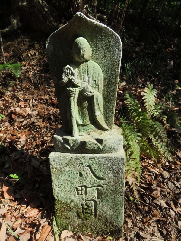 十国峠（日金山）