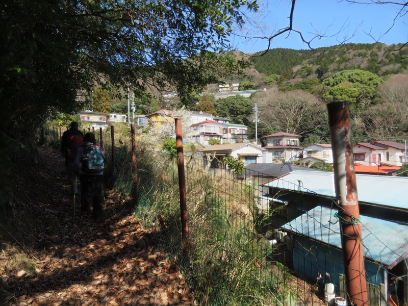 十国峠（日金山）