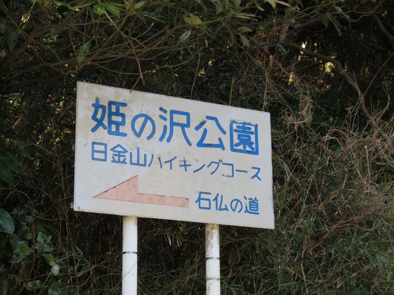 十国峠（日金山）