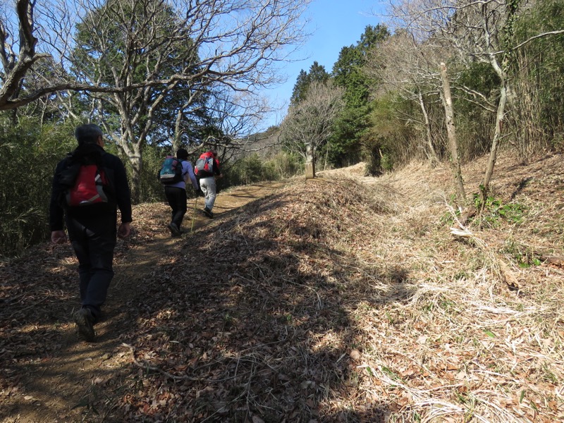 十国峠（日金山）