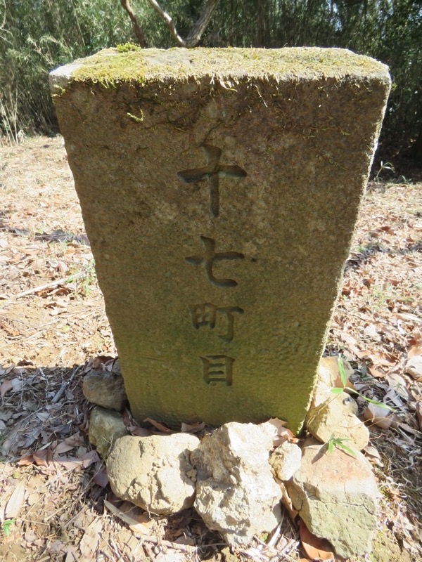 十国峠（日金山）