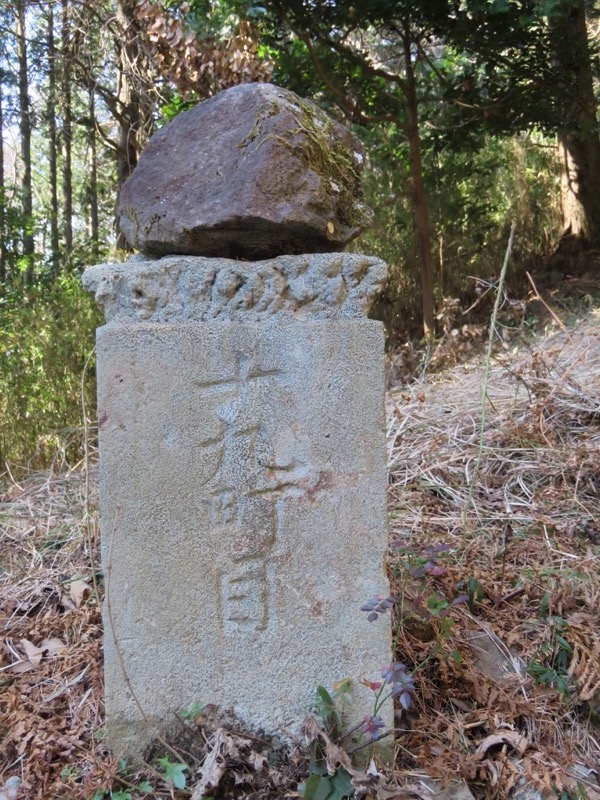十国峠（日金山）