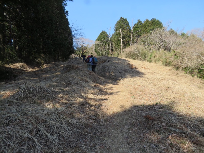 十国峠（日金山）