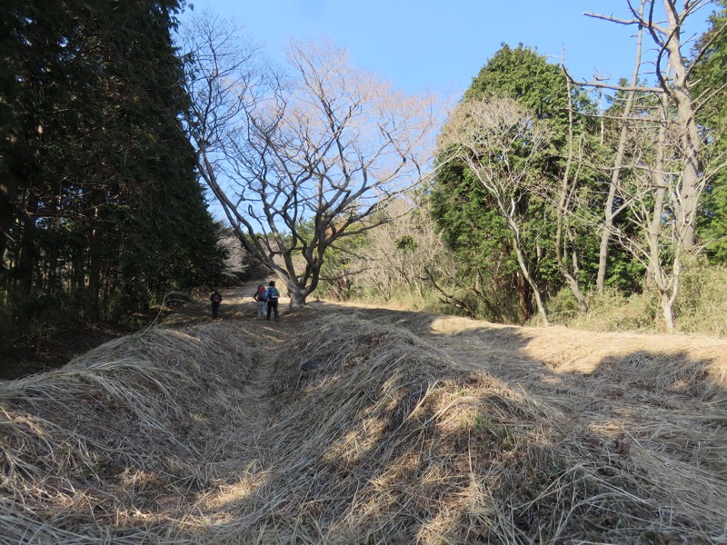 十国峠（日金山）