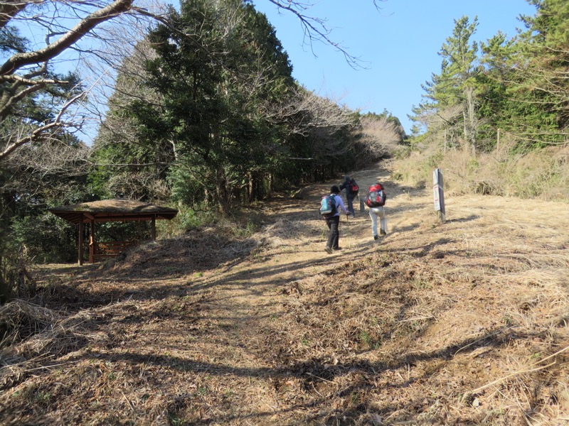 十国峠（日金山）