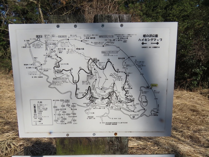 十国峠（日金山）