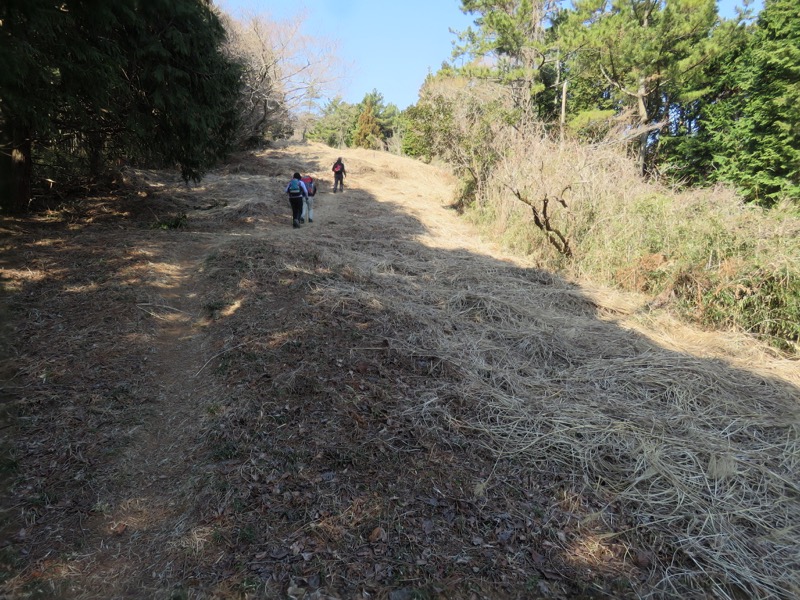 十国峠（日金山）