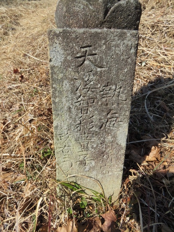 十国峠（日金山）