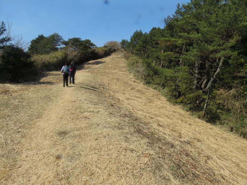 十国峠（日金山）