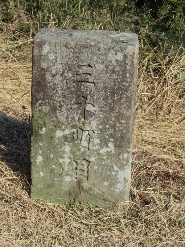 十国峠（日金山）