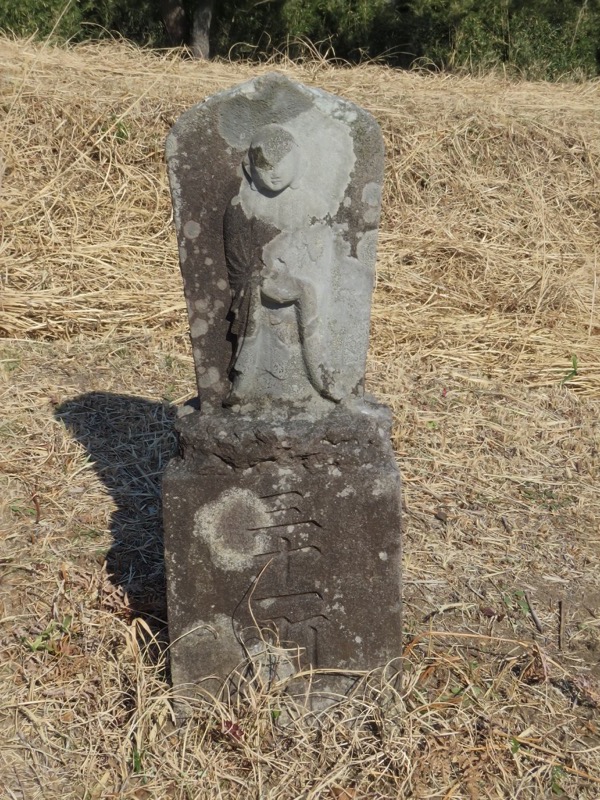 十国峠（日金山）