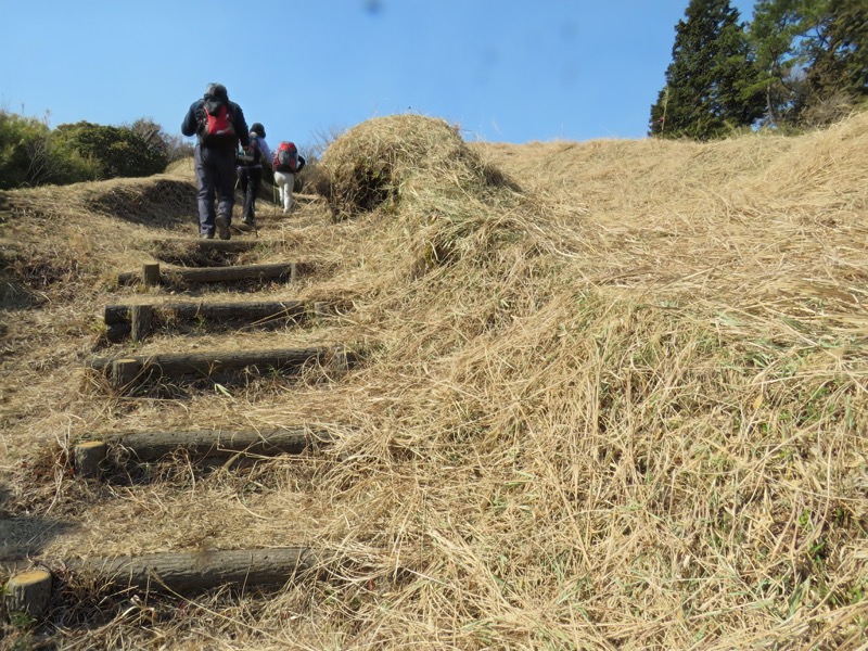 十国峠（日金山）
