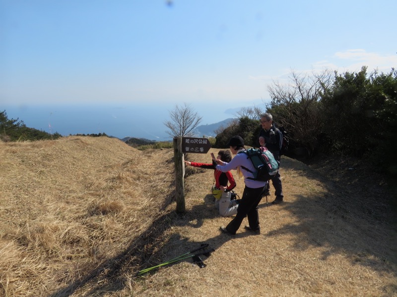 十国峠（日金山）