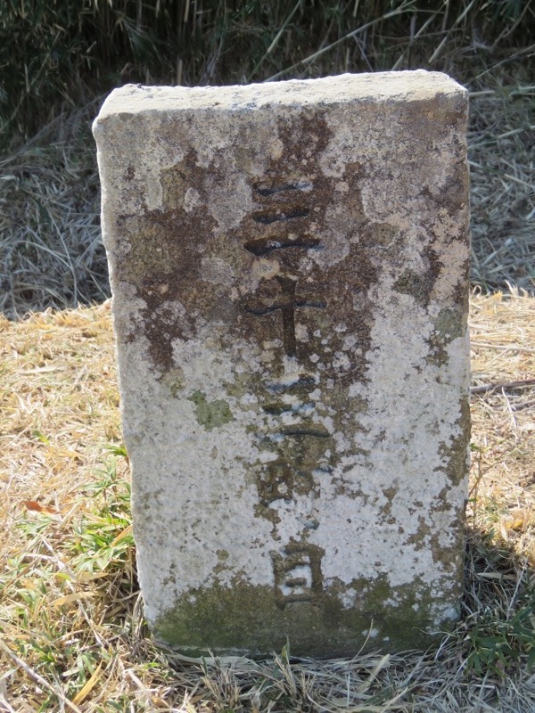 十国峠（日金山）