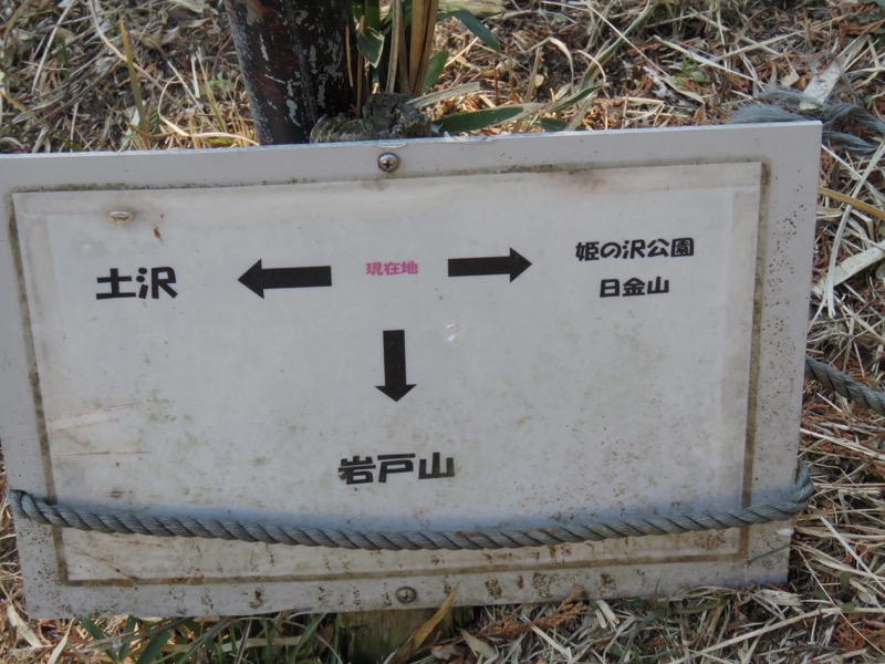 十国峠（日金山）