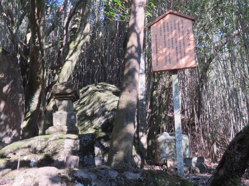 十国峠（日金山）