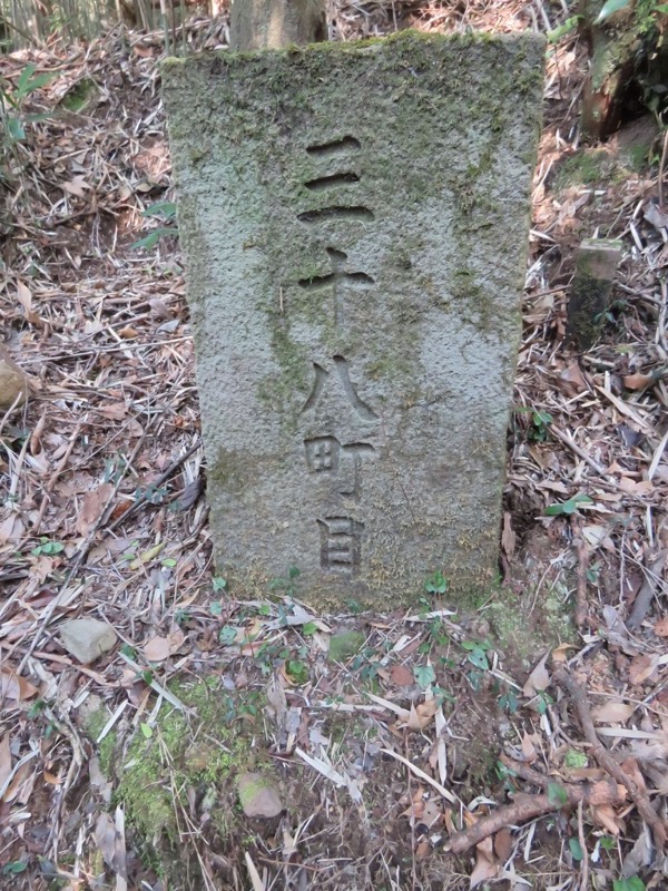 十国峠（日金山）
