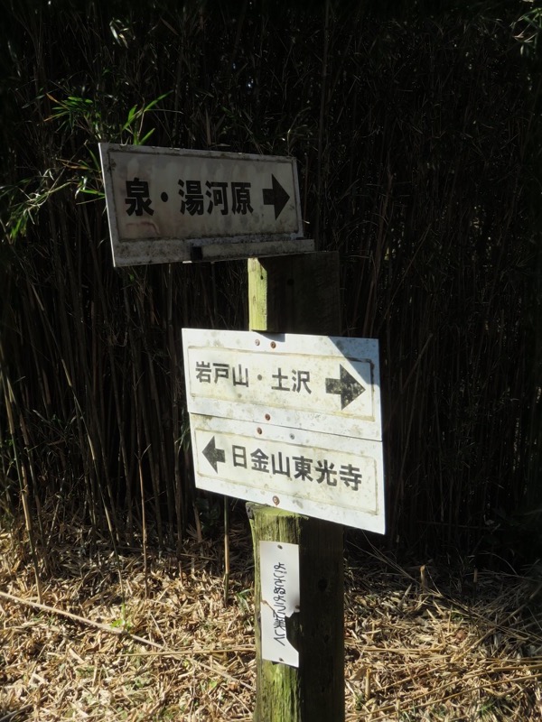 十国峠（日金山）