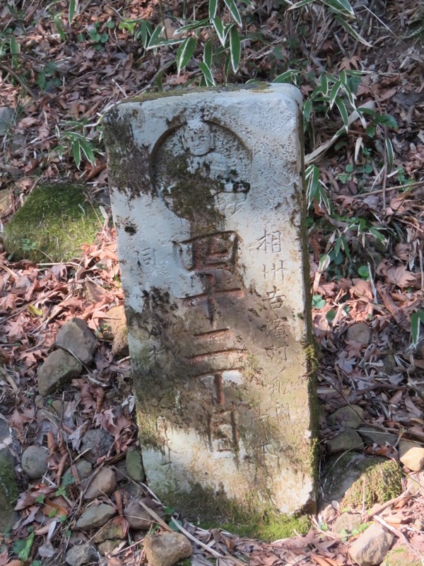 十国峠（日金山）