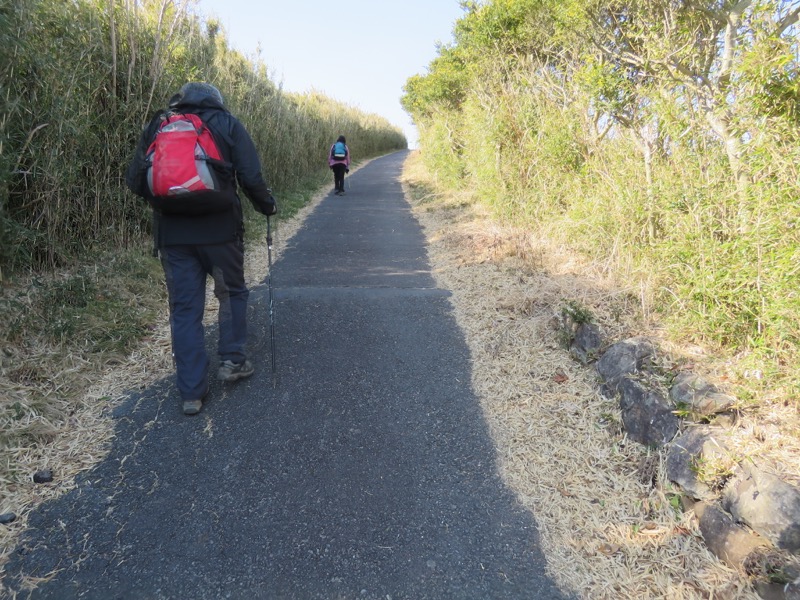 十国峠（日金山）