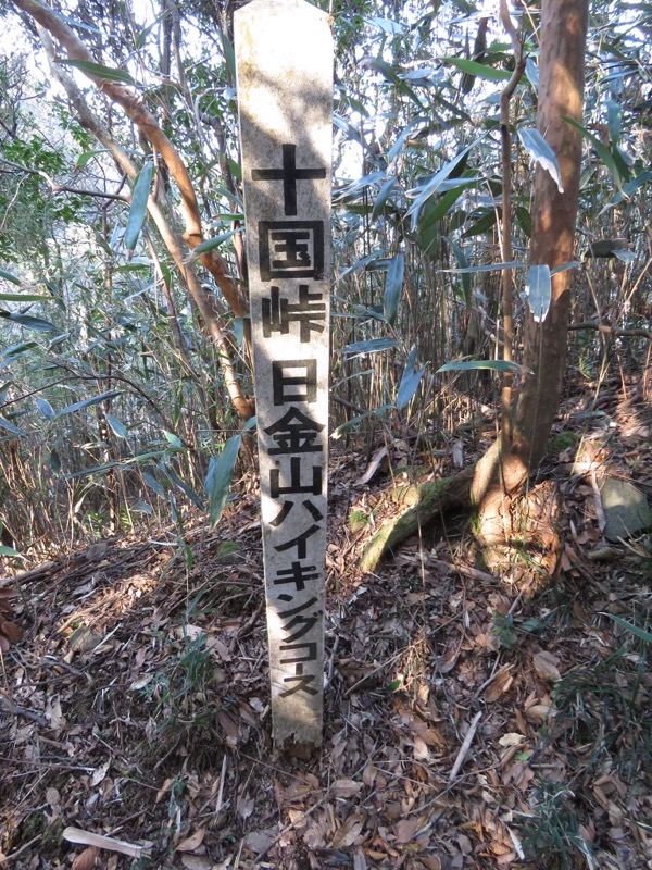 十国峠（日金山）