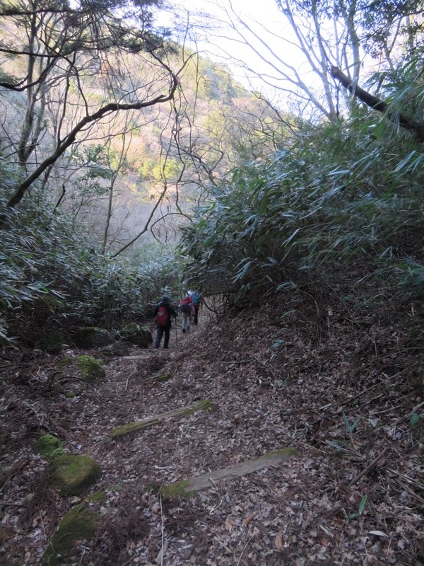 十国峠（日金山）