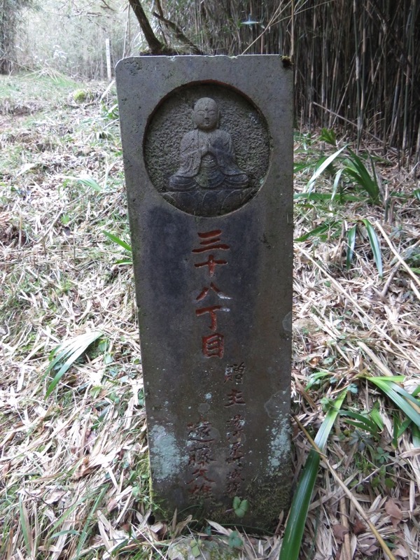 十国峠（日金山）