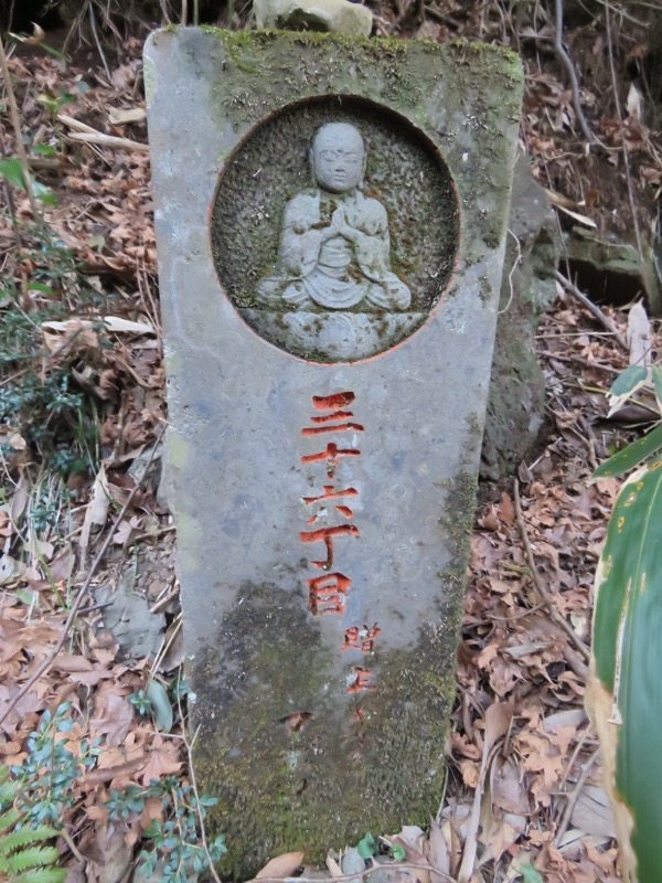 十国峠（日金山）