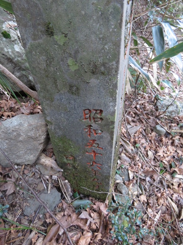 十国峠（日金山）