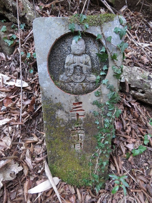 十国峠（日金山）