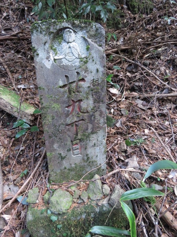 十国峠（日金山）