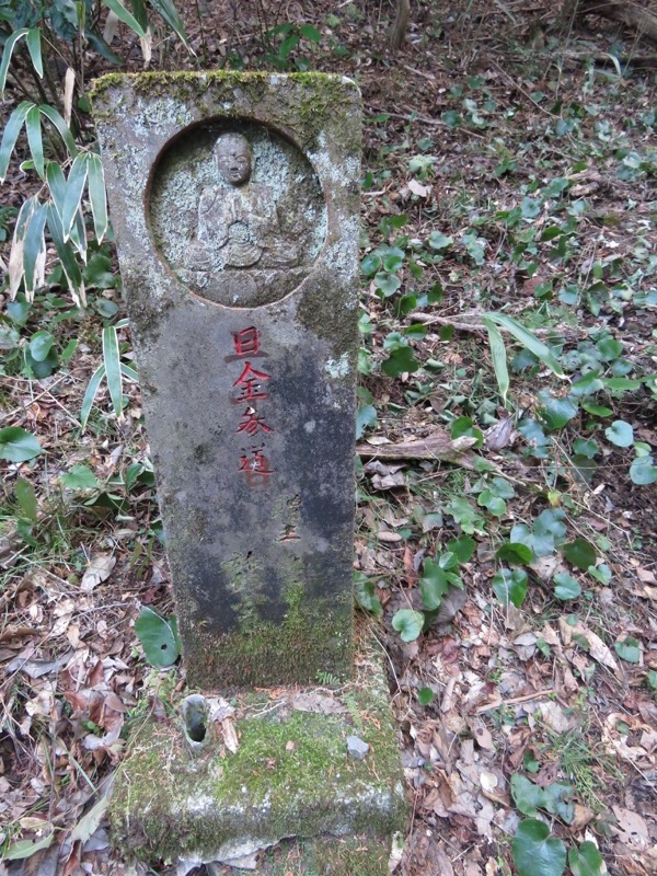 十国峠（日金山）