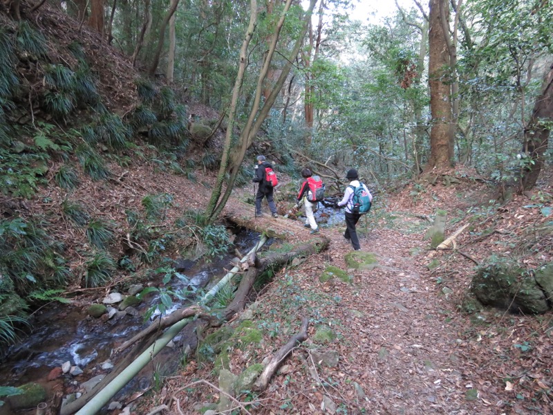 十国峠（日金山）