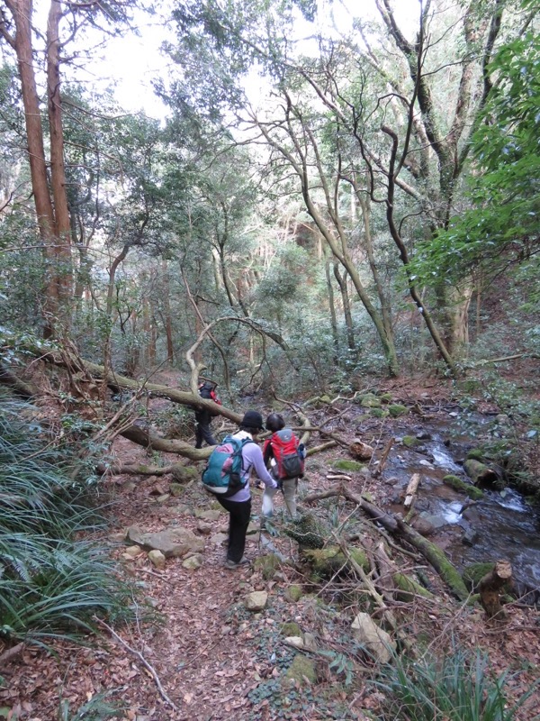 十国峠（日金山）