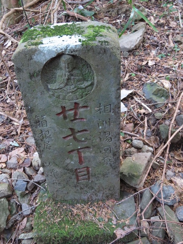 十国峠（日金山）