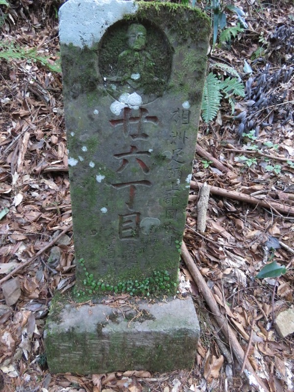 十国峠（日金山）