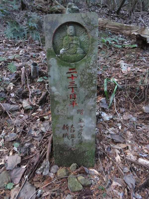 十国峠（日金山）