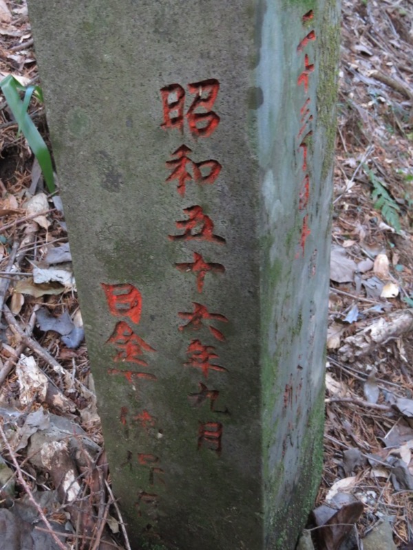 十国峠（日金山）