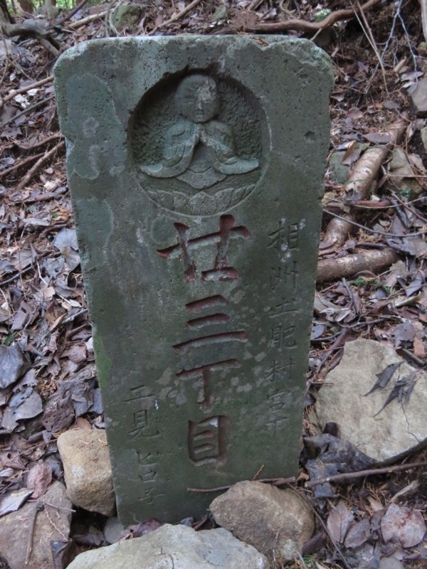 十国峠（日金山）