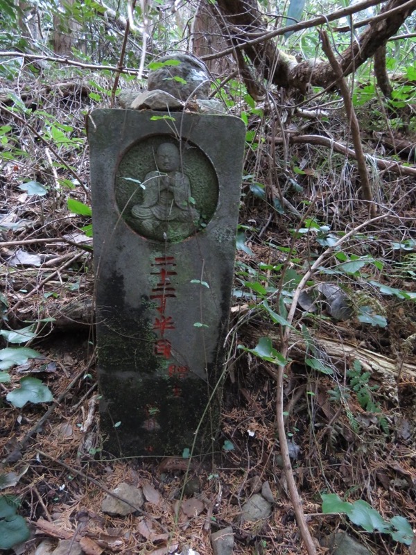十国峠（日金山）