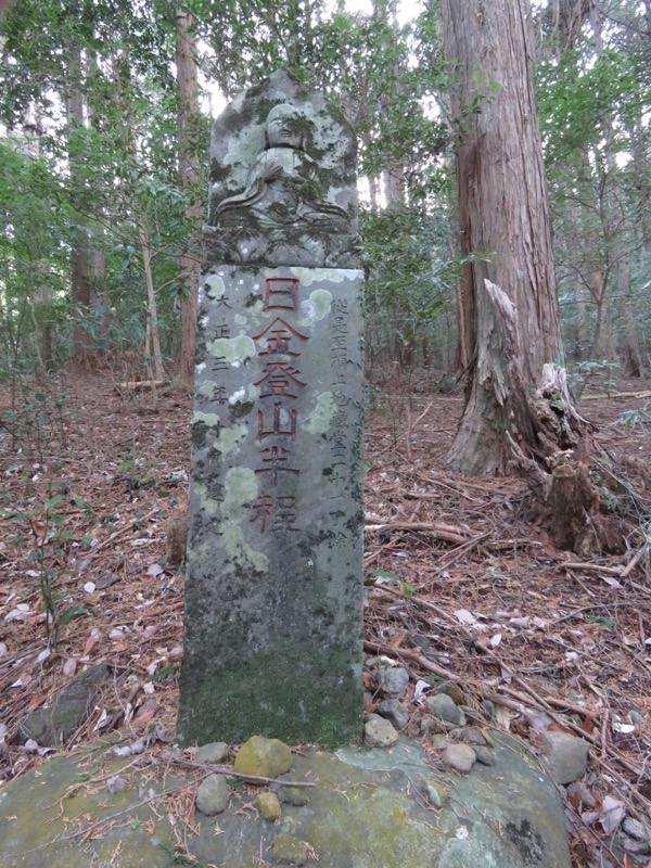 十国峠（日金山）